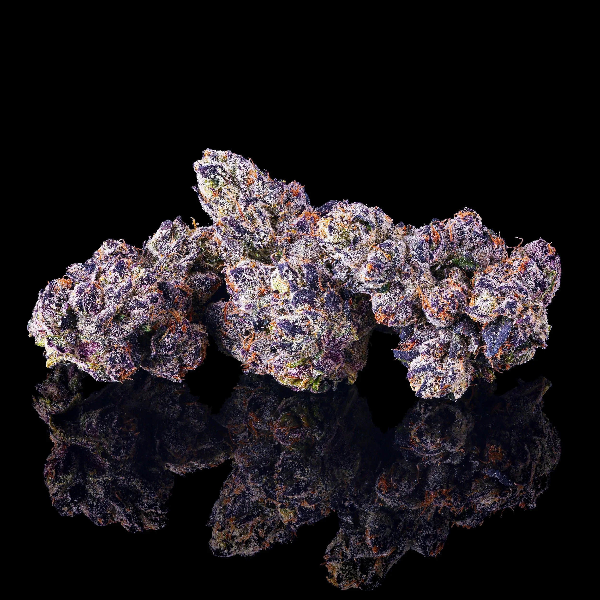 Sticky Grapez — Maven Genetics